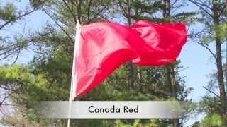 Economy Solid Color Flags