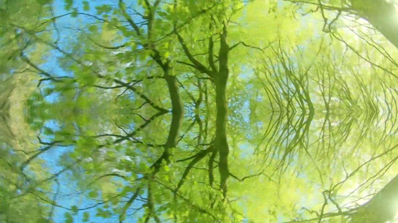 Watch Cirkus - The Heaviest Stone. on YouTube Watch Cirkus - The Heaviest Stone. on YouTube