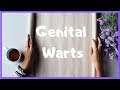 What are genital warts? Symptoms, Causes, and Treatment ✔