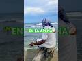 🥥🌴EN LA ARENA 🌴🥥 ESTO SALE ESTE JUEVES DISFRUTALO 🥥🌴🥥🥥🌴🥥🌴#afrobeat #dancehall #newmusic