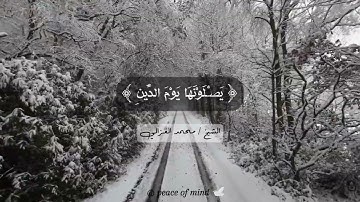 ما تيسر من سورة الإنفطار للشيخ محمد الغزالي ♥️