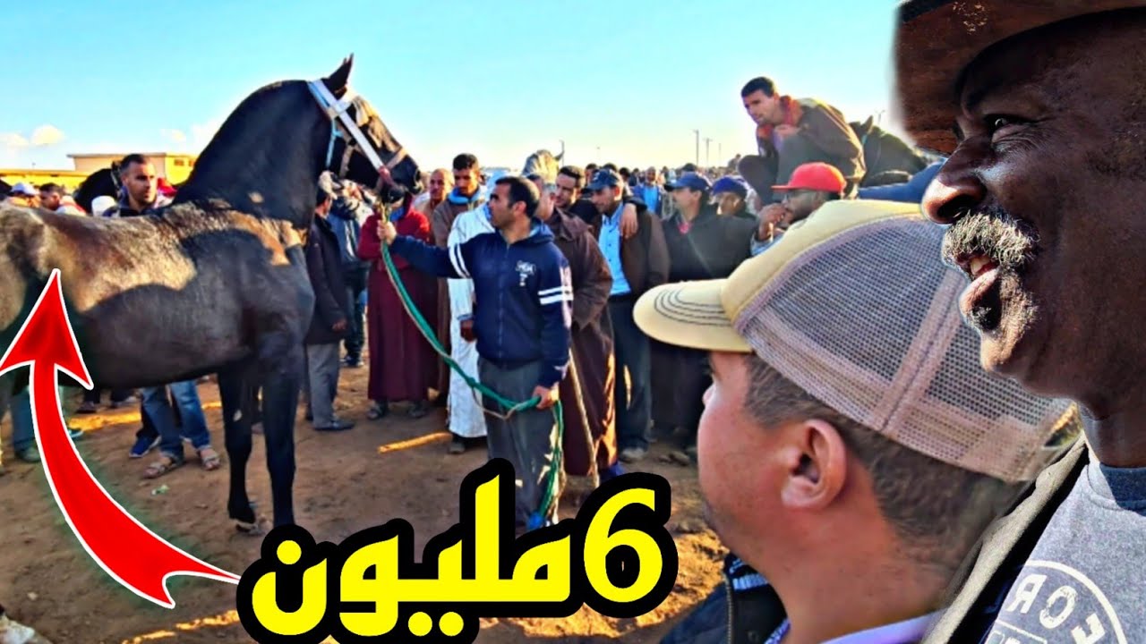 سوق لكفاف📍 دخل جدع سنان الحليب عندو 20 شهر هبل الرحبة كاملة😱《بدريس عندو جدعة ديال مسابقة الجمال》🤔