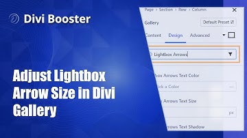 Adjust Lightbox Arrow Size in Divi Gallery