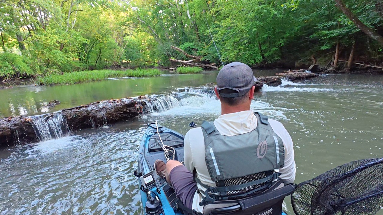 Creek Fishing Adventures