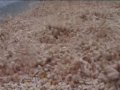 EASY Freeze - Tomato Cubes Freezing - www.pigo.it