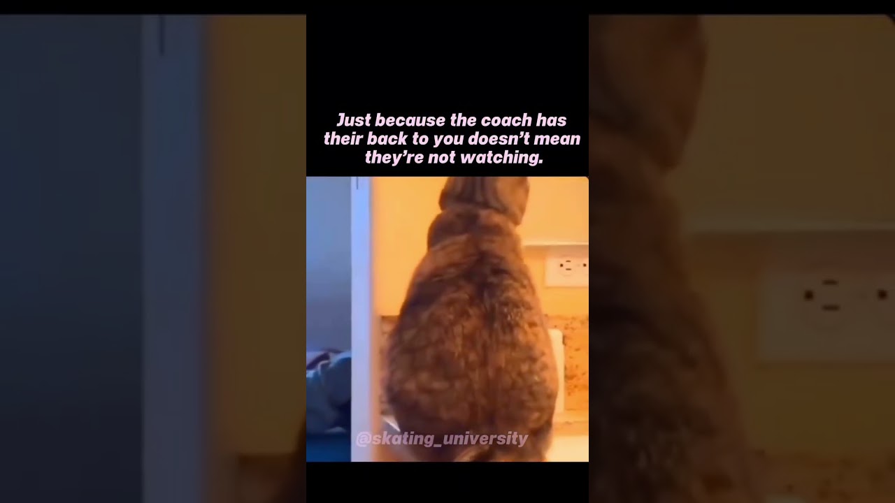 Uploads from International Skating University