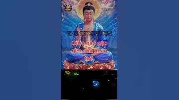 #48 Phật Dạy: Đời Ngắn Lắm, Đừng Phí Thời Gian Tiếc Nuối