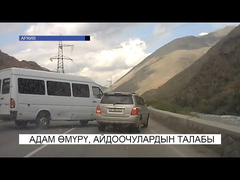 Video: Жолдогу айдоочулардын кол жаңсоолору эмнени билдирет?