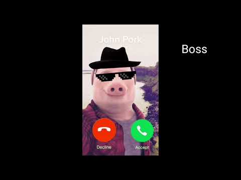 JOHN PORK IS CALLING SOUND VARIATIONS ALL PARTS  I ANSWERED HIM