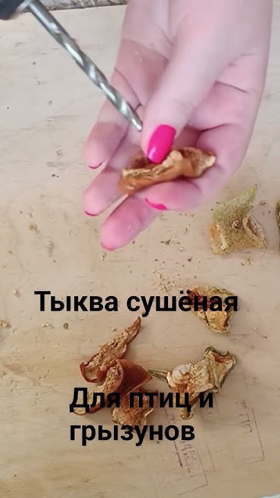 #вкусняшки #лакомство #крафт #попугайчики #упаковка#грызуны#шиншиллы# ...