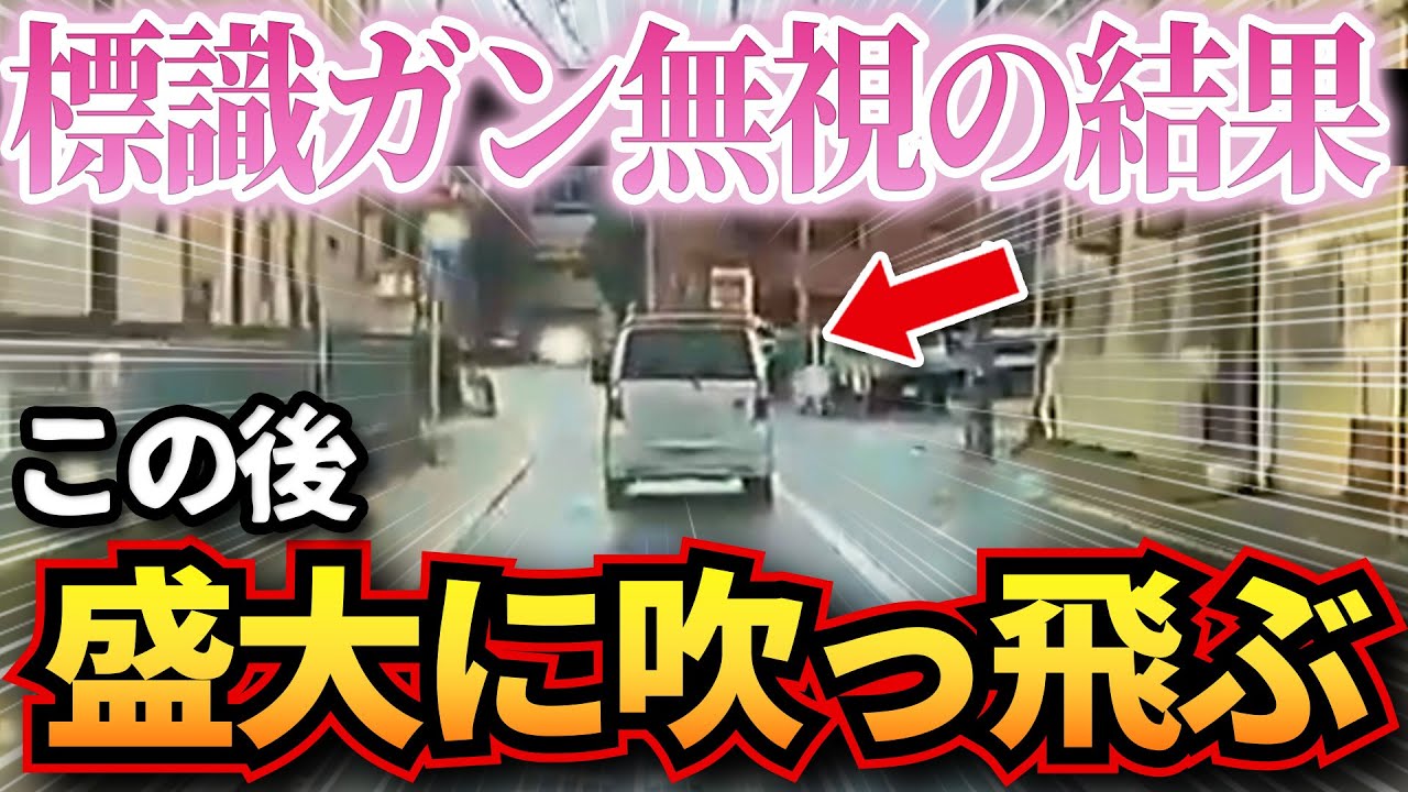 【ドラレコ】標識ガン無視の軽に天罰が下った結果w盛大に吹っ飛ばされる事態に…衝撃ドラレコ映像58連発！迷惑運転まとめ【作業用】【交通安全、危険予知トレーニング】