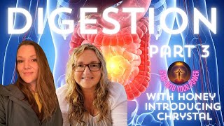 Download Lagu Your Gut Holds the Key: Nervous System Healing \u0026 Gut Health for the New Earth Body MP3 Download Lagu Your Gut Holds the Key: Nervous System Healing \u0026 Gut Health for the New Earth Body MP3