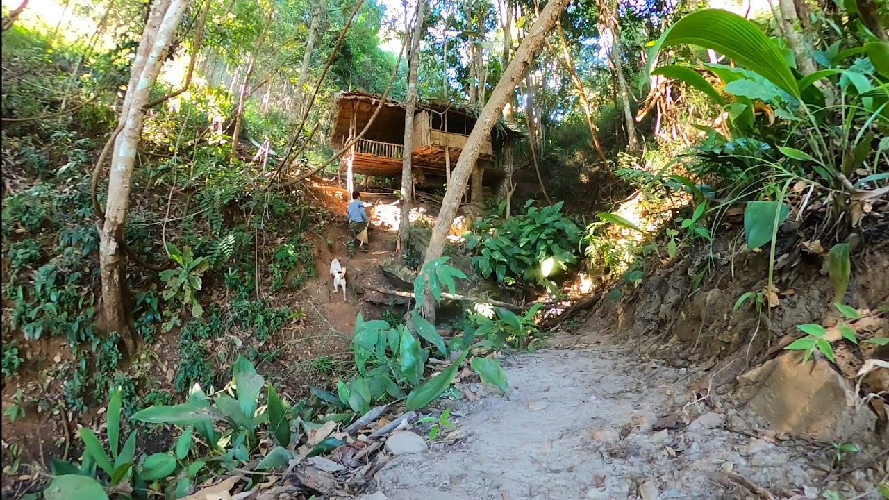 ทำความสะอาดที่พักเสริมหลังคาให้มิดชิดกว่าเดิมep112ตอนกลางคืนอุณหภูมิบริเวณกระท่อมไม้ถึง10องศา