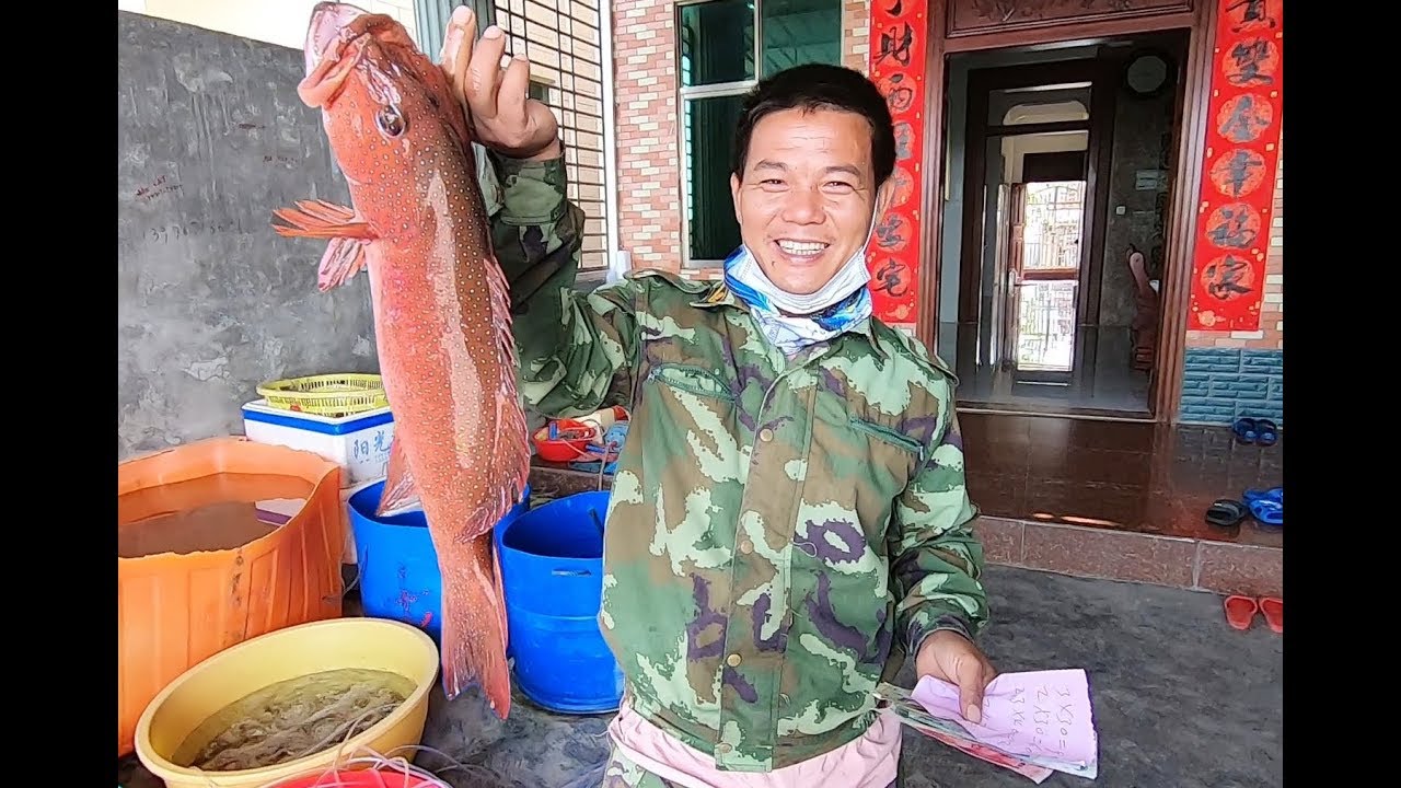 老四出完紧急任务去赶海，发现不少大货藏在烂船底，今天抓过瘾了