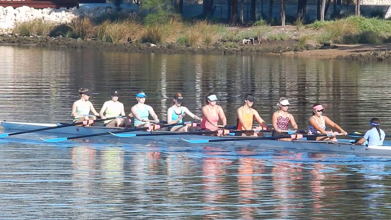 8 rowing shell woman on the Swan River in Perth