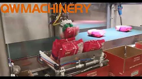 Delta/Parallel Robotic Case Packing For Vertical Snack Pouches