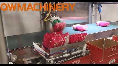 Delta/Parallel Robotic Case Packing For Vertical Snack Pouches