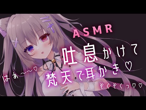 🔴【ASMR/3dio】梵天でぞくぞくさせる♡寝かしつける♡♡【ゼロ距離囁き/吐息/耳かき/耳はぁ/耳ふぅ/梵天/睡眠導入/EarBlowing/Wispering/猫遊みか/vtuber】