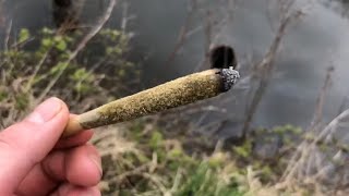 Let’s bill up a Dawg Space zoot and have a chat about lockdown!