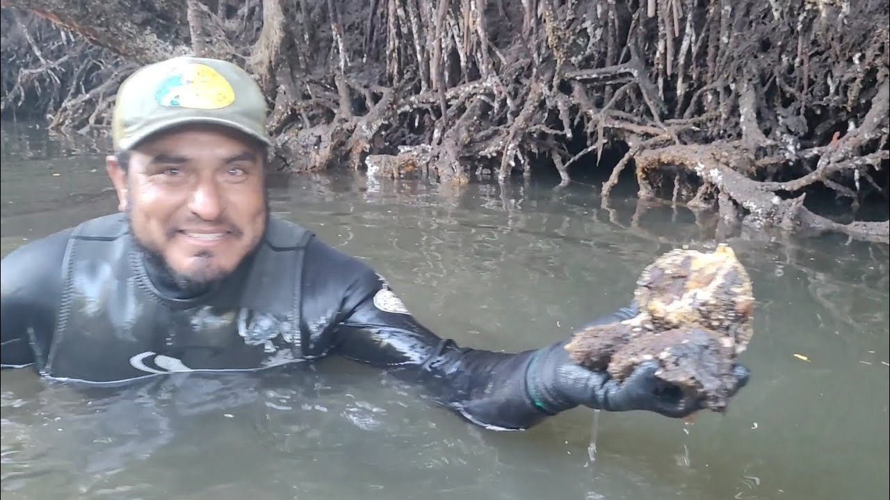 Encontramos muchos ostiones y mejillones para una buena comida 
