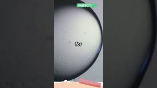 What Is Cryogenics? Unlocking The Science Of Extreme Cold