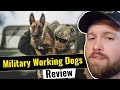 The fat electrician reviews military working dogs