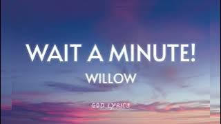 Willow - Wait A Minute! (Tiktok Remix)[Lyrics] - 1 hour