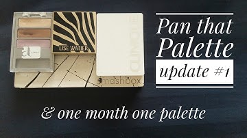 2017 PAN THAT PALETTE UPDATE #1 & One month one palette
