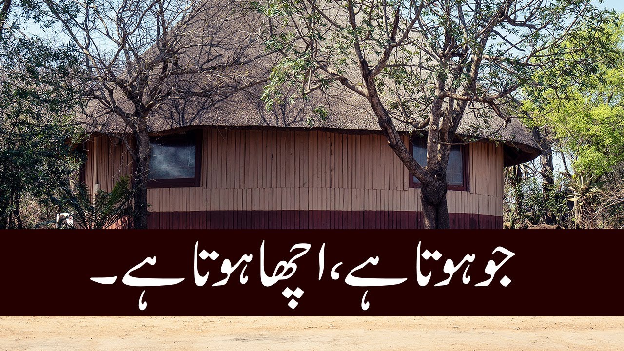 whatever-happens-happens-for-the-best