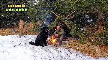 Sinh Tồn Giữa Bão Tuyết Cùng Chú Chó Trung Thành