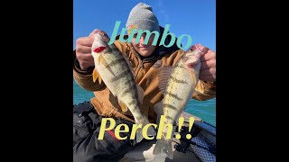 Catching JUMBO Yellow Perch out of Portage, Indiana on open Lake Michigan in February!! 2/25/2023