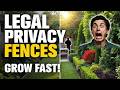 😍10 Fast-Growing Fences That Are Actually Legal👍