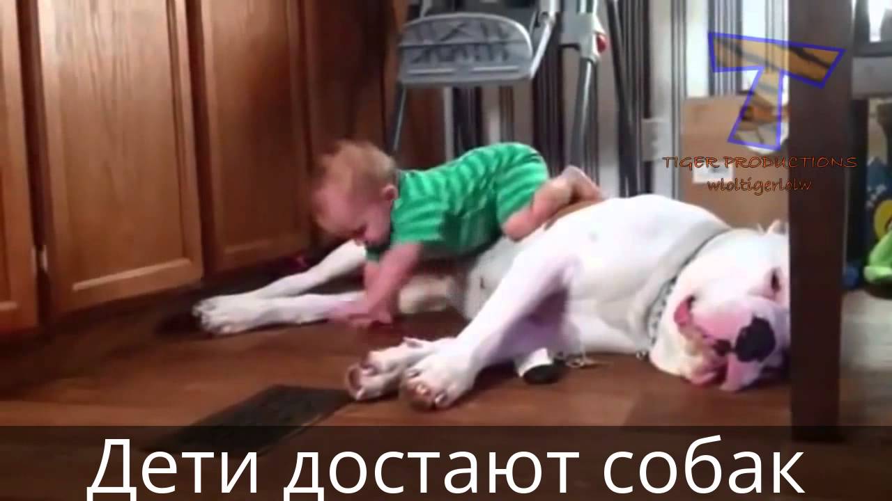 Смешные картинки до слез для детей 8 лет я ржал час, днем