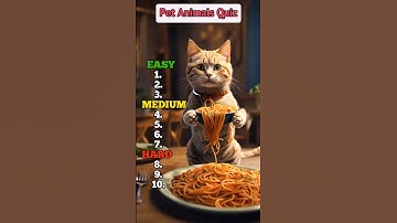 Guess the pet animal in 3 seconds !#animals #pet #quiz #quiztime #trivia