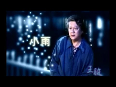 王骏 - 小雨