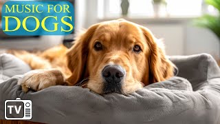 24 Hours Anti Anxiety with Music for Dogs: Dog TV & FastBoredom Busting Videos for Dogs with Music