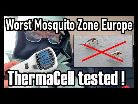 Video: Coffee Mosquito Repellant: Gründe zur Mückenbekämpfung verwenden