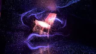 Antoni Gaudí Casa Batlló - Light Show, Visual Effects, Barcelona Spain,