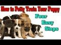 How To Potty Train A Puppy Cherry Hill NJ ► 4 EASY STEPS ◄ Puppy Training Cherry Hill How To Potty Train A Puppy Cherry Hill NJ ► 4 EASY STEPS ◄ Puppy Training Cherry Hill