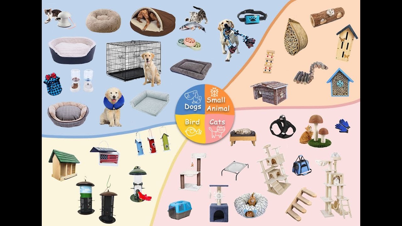 How to choose pet prodducts ,China leading Dog product, Cat accessories