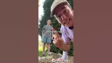Thumbnail of Forrest Frank X The Figs LEMONADE 🍋🍋🍋 (video credit @the.figs.official )
