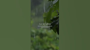 سورة هود #AlQuran   #QuranicTale