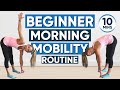 Morning mobility routine for beginners  10 minutes workout feels so good 