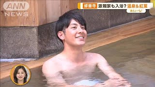 紅葉にグルメ…清めの手水も温泉　いま行きたい！秋の修善寺さんぽ【あらいーな】(2023年11月29日)