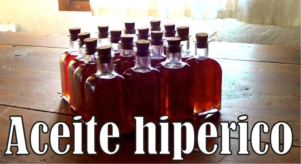Aceite Flor De San Juan Como hacer aceite de hipƩrico o aceite de flor de San Juan - YouTube