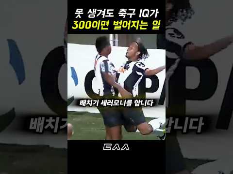 못 생겨도 축구 <strong>지능이</strong> IQ300이면 벌어지는 일