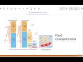 Fluid, Electrolyte, and Acid-Base Balance