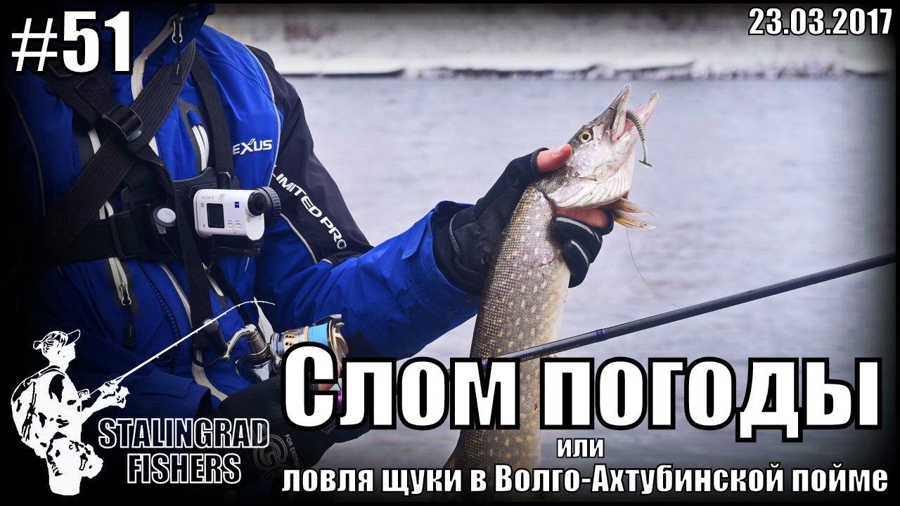 ловля щуки в волго-ахтубинской пойме ловля щуки в волго-ахтубинской пойме