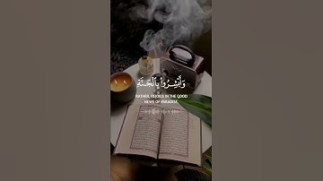 قرآن كريم حالات واتس اب - بصوت القارئ عامر الكاظمي 🎙