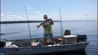 Redfish Redbass North East Florida’s Saint John’s River